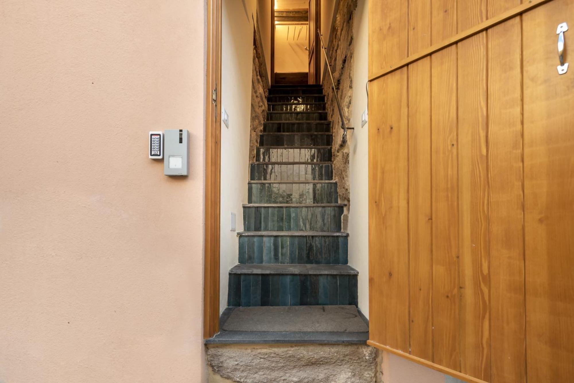 Apartment Zaccariaexclusive W Private Entrance